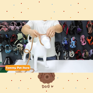 Integrated Dog Leash with Collar Pet Leash Collar Combined Big Dog Walking Leash S/M/L Size Self-Adjust Neck