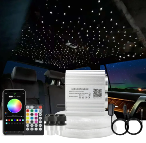 Smart APP 16W Twinkle Optic Lighting Fiber engine RF control Cable Starry Effect Ceiling Double Heads Lights car room lamp
