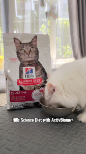 [Bundle Of 4] Hills Science Diet Adult Salmon & Brown Rice Recipe Dry Cat Food 1.58kg