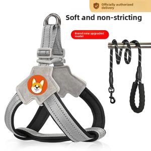 MONLEYTA | Pet Leash & Chest Harness for Small to Medium Dogs