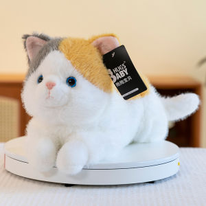 QIAOSHANG | Cute Cat Pillow Toy for Children