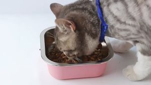 ชามอาหารสัตว์เลี้ยง ไซส์ใหญ่ ใช้งานได้จุใจ รุ่นสแตนเลส มีกันลื่นในตัว