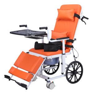 Elevating Small Wheelchair Bed for Disabled Elderly Care Multi-Functional Transfer Machine Portable Caregiver Assisted