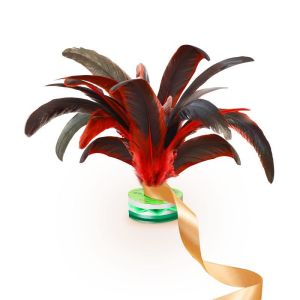 SHENWO | Sports Specialized Feather Shuttlecock