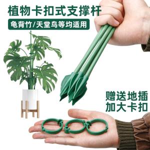 สวนดอกไม้กระดูกไหปลาร้าช่วยยืนหยัดป้องกันการล้มลุก ตัวยึดดอกไม้พิเศษ ช่องเสียบดอกไม้ สแตนเลส วัสดุอื่นๆ