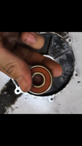 Bearing Bantalan Laher Roda Belakang Dinamo Motor Diferensial Roda 3 Sepeda Listrik Roda Tiga Listrik