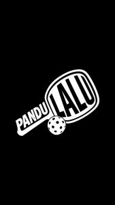 PICKLEBALL PADDLE PROTECTOR FILM