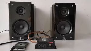 800W G919 FM Amplifier: A Portable Bluetooth Audio Solution for Car & Home