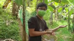 【Free rope】50/100M Chicken Net Range Net For Chicken Lambat Outdoor Bird Net Poultry Net