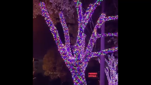 10M LED Hari Raya Lights Strip Fairy Lights Outdoor Waterproof Hari Raya Decoration Lights For Garden Wedding Holiday Light