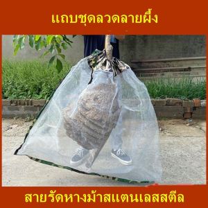 บริการกระเป๋าผึ้ง พร้อม กระเป๋าผึ้ง S-เลส พร้อม กรงผึ้ง พร้อม กระเป๋าตา ข่าย พร้อม