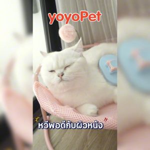 yoyopet :  หวีกำจัดขน แปรงขนสัตว์เลี้ยง ที่แปรงขนสุนัข แมว มีปุ่มกดเพื่อดันขนออก 😻ทำความสะอาดง่าย