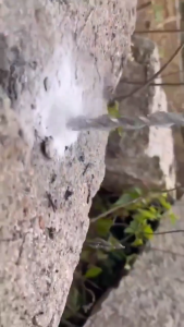 MAKITA Top Quality Brushless Cordless 4800 IPM Electric Rotary Hammer Multifunctional Rechargeable Electri