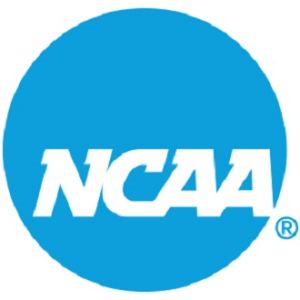 NCAA University Of Michigan Adjustable Baseball Cap(7155586420/31)