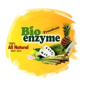 Bioenzyme Premium Original Fermented Fruit Enzyme Drink | Probiotic Formula | Gut & Digestive Wellness | Natural Fruit Enzyme Concentrate