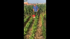 Máy vun gốc ngô vun luống tạo rãnh giá tốt. Cập nhật báo giá hàng chính hãng