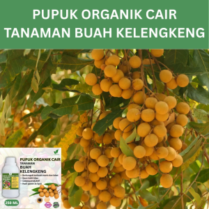 Pupuk Buah Kelengkeng 250 ML /Pupuk Booster Kelengkeng Cepat Berbuah Lebat/Pupuk Cair Kelengkeng