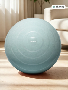 YOTTOY | Anti-Burst Pregnancy Support Large Yoga Ball Exercise Ball