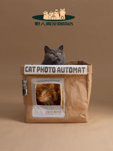 ถุงกระดาษคราฟท์สไตล์วินเทจแบบออริจินอลสำหรับคนป่าคอกแมวใช้ได้สี่ฤดูแผ่นกระดาษการ์ดทนต่อการฉีกขาดของใช้แมวไซส์ใหญ่ของเล่น