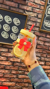 Botol Minum Kaca PITA Aesthetic Tumblr Gelas Kaca Sedotan dan Tutup Gelas Vintage DAIMURA STORE