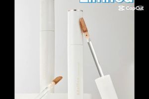 Atomy Adelica Concealer 5g