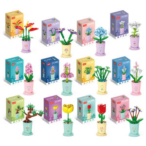 Chinese Building Blocks Succulent Plants Pot Bouquet Decoration Mini Teacup Preserved Fresh Flower Small Particles Puzzle Boys and Girls