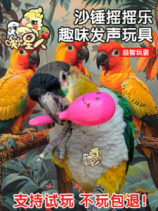 Parrot Chew & Training Toys: Stress Relief, Boredom Buster & Intelligence Enhancement