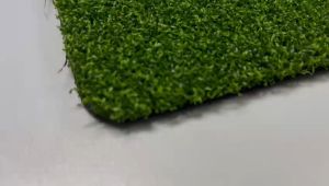 SG Seller - 10mmGolf Putting Green Mat-Golf Training Mat Backyard Golf Artificial Grass size 5m x2m