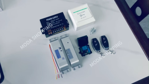 DC 12V Electric Door Lock Kit with Remote Control Access Control System for Single/Double Doors Home/Office Security