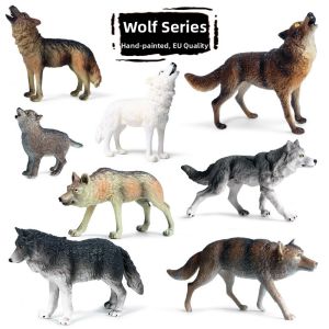 Realistic Wildlife Model Wolf