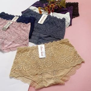 Quần lót nữ thái lan Sisterhood 5575 chất cotton phối ren đẹp mềm mại - Form L