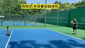 เครื่องยิงพิเคิลบอลแบบพกพาเครื่องยิงพิเคิลบอลแบบสวิงอัตโนมัติเครื่องยิงลูกเทนนิส3มุมและ4ความเร็ว Ac/ แบตเตอรี่ความจุ26ลูกพิคเกิลบอล