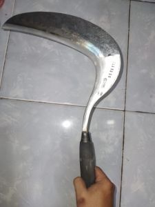 ARIT RUMPUT SUPER TAJAM