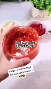 Mini Speedy Chopper Blender Tangan Pencacah Daging Bawang Cabe Sayur
