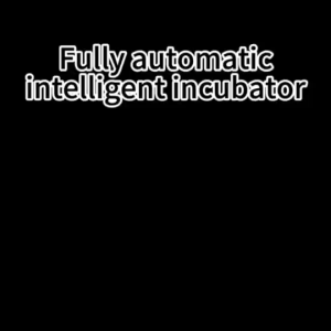 CELOGLO Egg Incubator 220V/12V Automatic Constant Temperature Incubator for egg/chicken