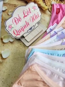 [Combo 10] Quần Lót Nữ Thun Lỗ Thông Hơi Đủ Màu Trơn Co Giãn Thoải Mái (6505) Size :50 - 60 Kg - Đồ Lót Quỳnh Nhi