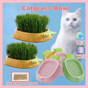 Cat Grass Planting Pot & Hydroponic Grow Box: A Complete Guide