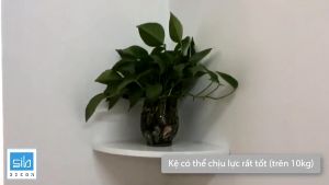 Kệ Gỗ Trang Trí Treo Góc Nhà Chịu Lực Trên 20kg Kệ Hình Quạt Không Cần Khoan Tường SIB KT111