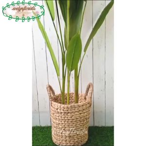 Pohon Hias Daun Pisangan Heliconia & Bunga Bird Of Paradise T145 Latex Artificial Pot