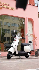 KINMA Dolphin Sepeda Listrik Terbaru Sepeda Motor Listrik Mewah Kelas Atas  800w 48v20ah/12ah Purple Listrik Garansi Resmi