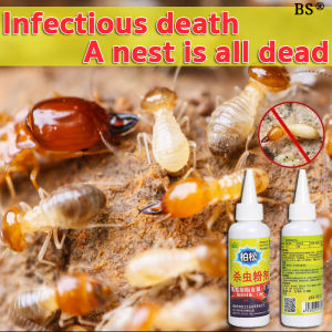 Effective Termite Control: BaiSong Termite Killer Powder