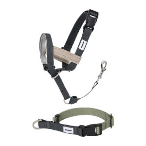 HIDREAM Stylish Pet Collar Leash And Muzzle Set Adjustable Anti-Pull Dog Collar durable Lead Rope Reflective Dog Mask Anti-Bite For Pets