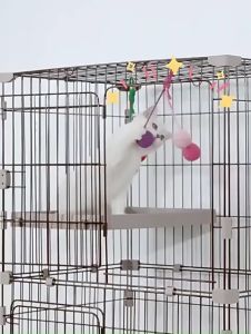 Cat Toys: Colorful Yarn Balls & Interactive Chewing Toys for Kitten Relief