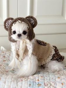 Thickened Fleece Autumn Winter Bear Floral Print Vest Top Dog Clothes Pet Clothes Cotton Princess Style Dress for Dogs