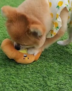 Sniffing Toys Croissant / Mainan Anjing Kucing Bentuk Croissant Roti / Mainan Interaktif Hewan