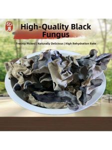 Premium Thick and Crisp White-Back Oyster Mushrooms 500g