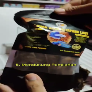 DAUN KETAPANG LAUT HASIL OLAH FERMENTASI SIAP PAKAI KEMASAN SEDANG BUAT IKAN DAN KEBUTUHAN AKUARIUM