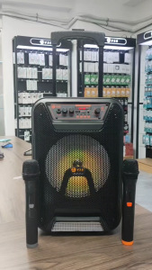 V2S PB-900pro 8-inches TWS Trolley Type Karaoke Outdoor Bluetooth Speaker With Wireless Microphone