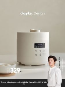 Olayks | Multifunctional Compact Electric Pressure Cooker