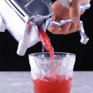 (EXTRA LARGE) WJS Alloy Fruit Juicer Manual Juicer Fruit Citrus Heavy Duty Orange Juice Lemon Mixer Squeezer Watermelon Lime Juice Ginger Hand Press Hand Juicer Fruit Extractor Pemerah Jus Perah Oren 果汁器 [FREE RM 50 VOUCHER]